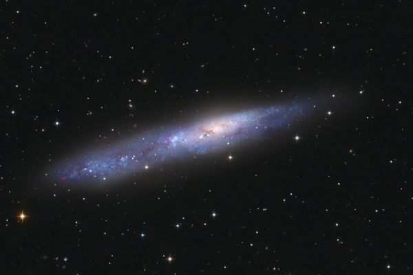 hir_ngc55
