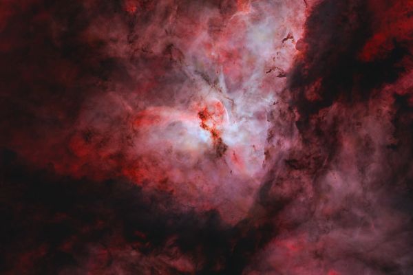 BLOG 1